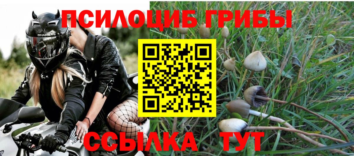ГАШИШ  Вход с VPN  Канабис  Новый Уренгой  ГАШИШ  Конопля  Меф МЯУ МЯУ  