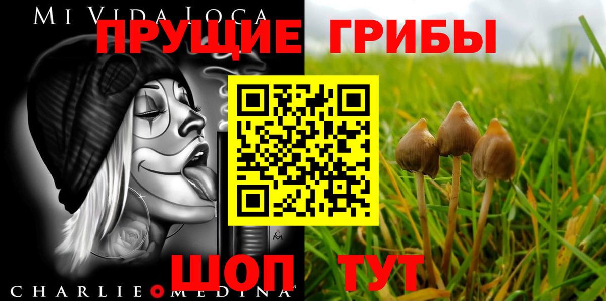 Новый Уренгой  Галлюциногенные грибы GOLDEN TEACHER  Вход с VPN 
