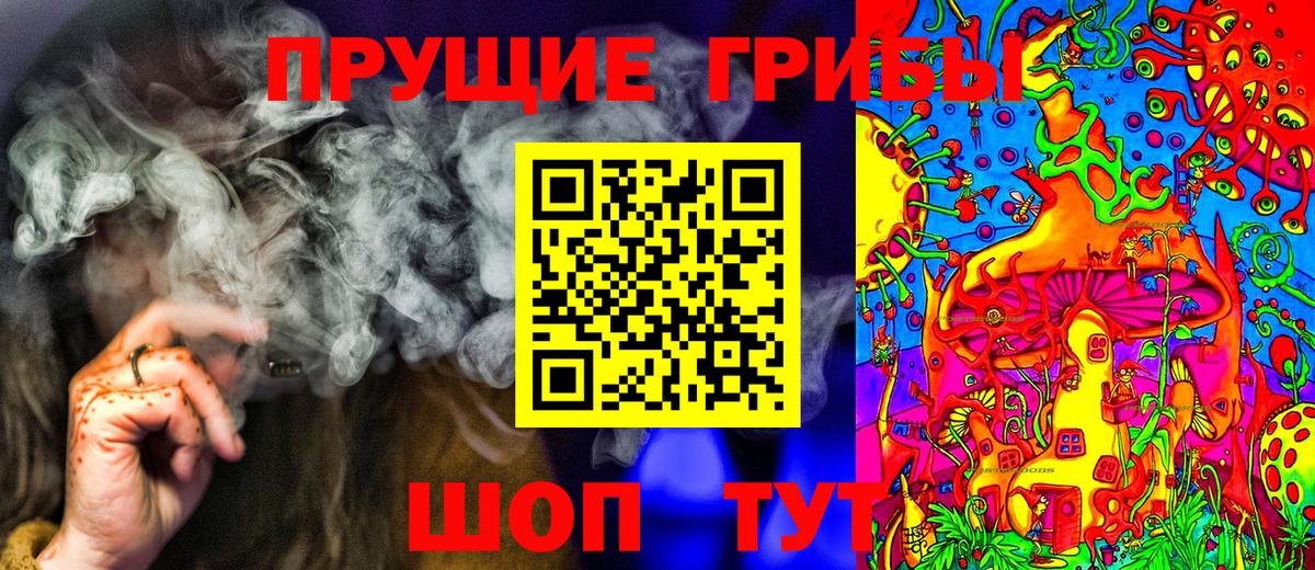 Псилоцибиновые грибы Psilocybe Новый Уренгой